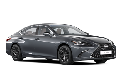 ES petrol 2.5L Petrol 25P-