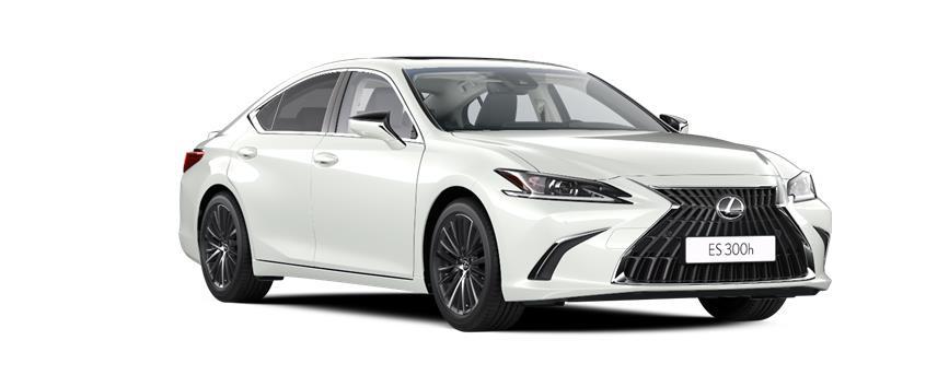 ES Business Line Titaniumweiß, frame 3