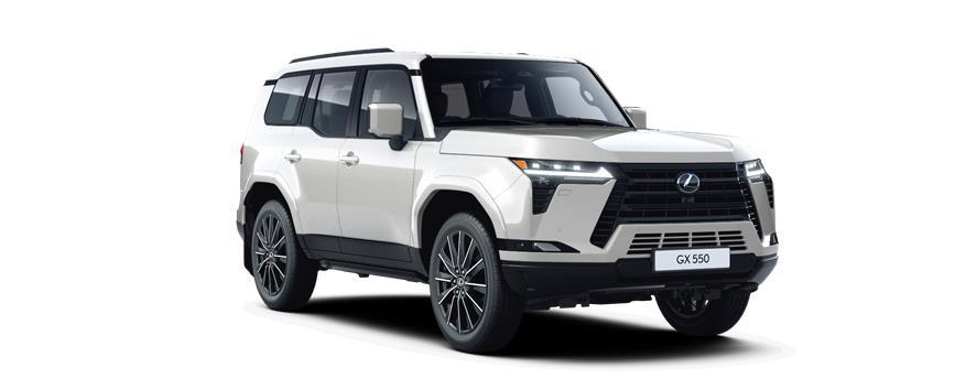GX Luxury + Sunroof Sonic White (085), frame 3