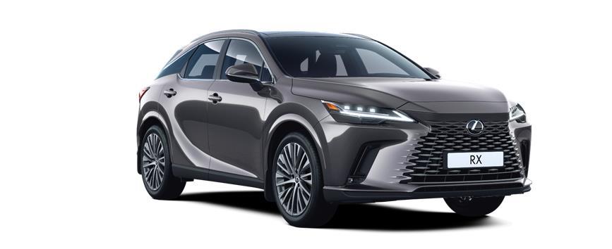 RX 2.4T Executive Sonic Grey (1L1), frame 3