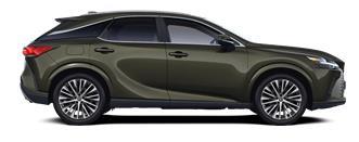 RX Executive SUV