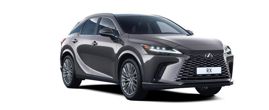 RX Luxury PHEV Sonic Grey (1L1), frame 3