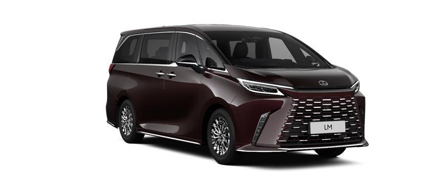 LM 7 SEATER Sonic Agate (3U3), frame 3