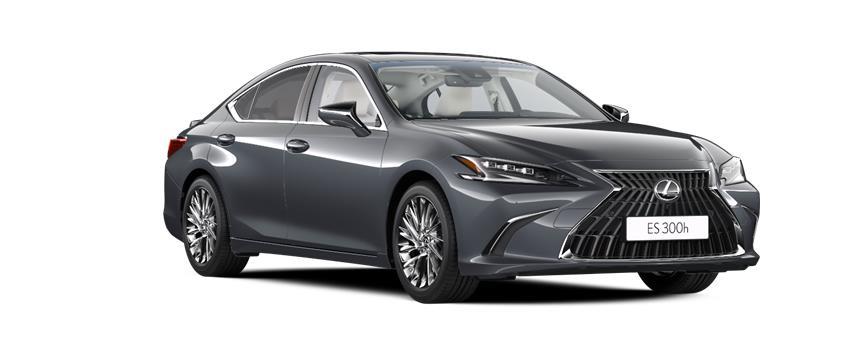 ES Luxury Sonic Grey (1L1), frame 3