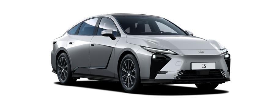 ES Luxury Platinová Sonic (1L2), frame 3