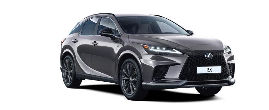 RX F SPORT Design Sonic Grey, frame 3