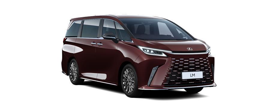 LM LUXURY 6 PLAZAS ÁGATA SONIC, frame 3