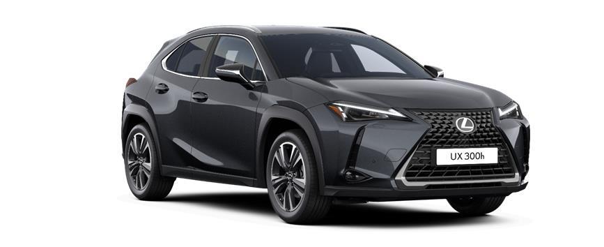 UX Premium Sonic Grey (1L1), frame 3