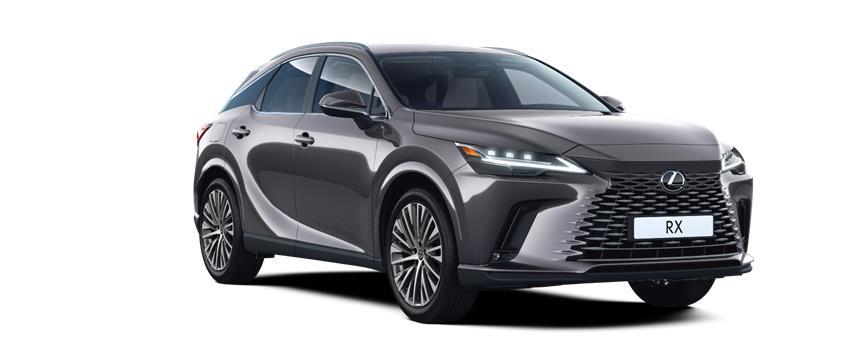 RX Executive Sonic Grey (1L1), frame 3