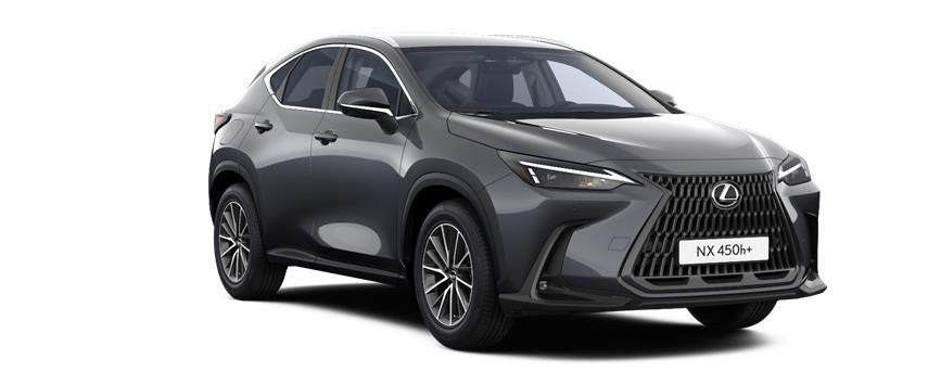 NX Executive Sonic Grey (1L1), frame 3