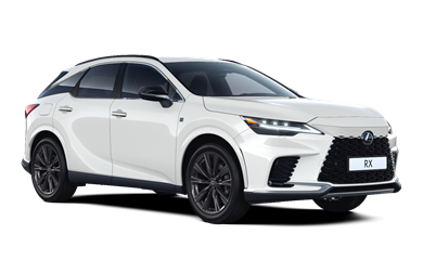 RX hybrid 2.5 Petrol Hybrid (206hp)