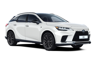 RX plugin 2.5 Petrol Hybrid (292hp)