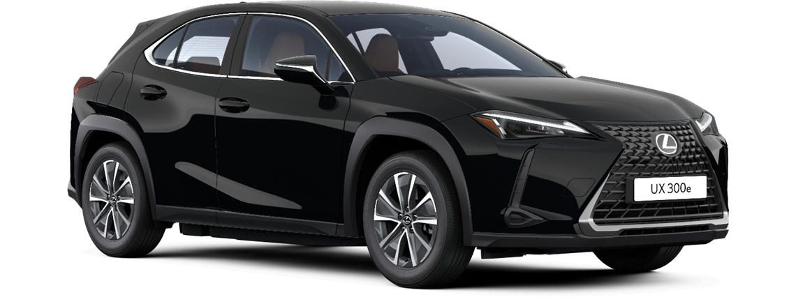UX 300e