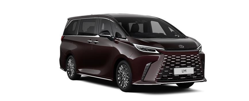 LM 350h AWD Sonic Agate (3U3), frame 3