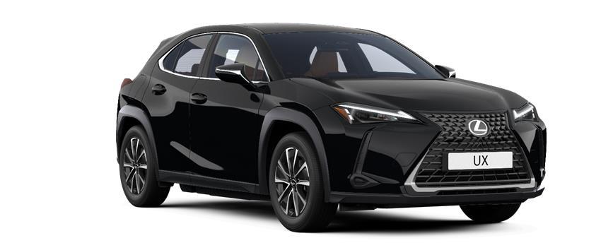 UX 300e Urban Velvet Black (212) - Solid, frame 3