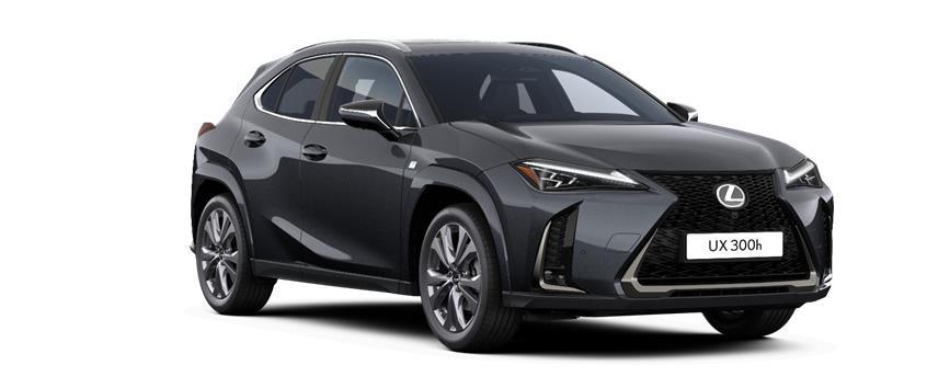 UX 300h F SPORT Takumi Sonic Grey (1L1) - Special Metallic, frame 3