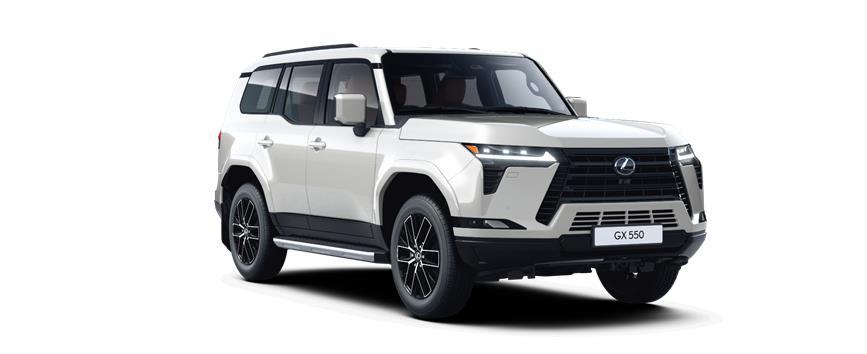 GX Executive Sonic White (085), frame 3