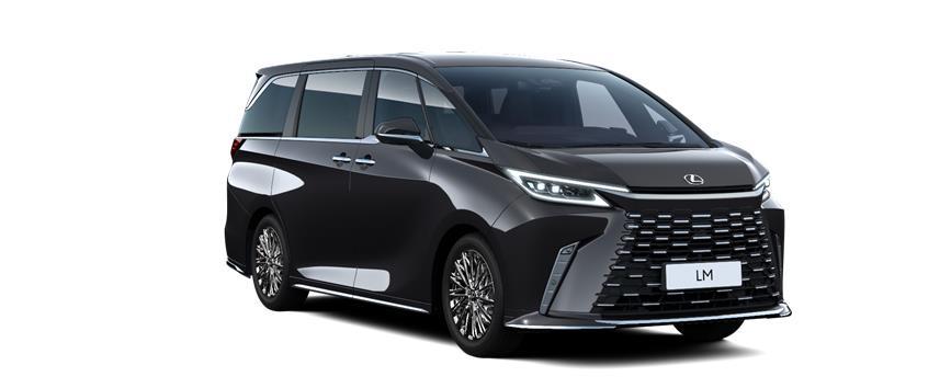 LM 4 Seater Black Graphite Black (223), frame 3