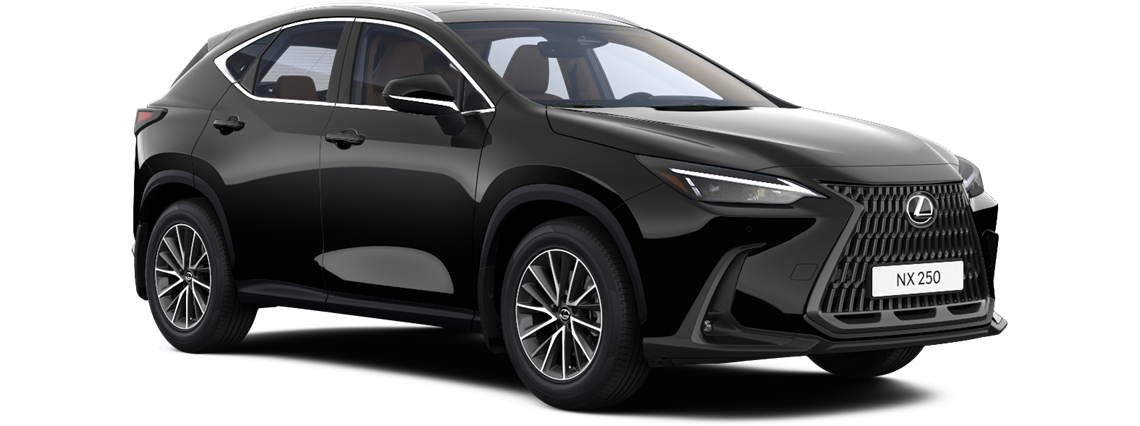 NX 250 AWD