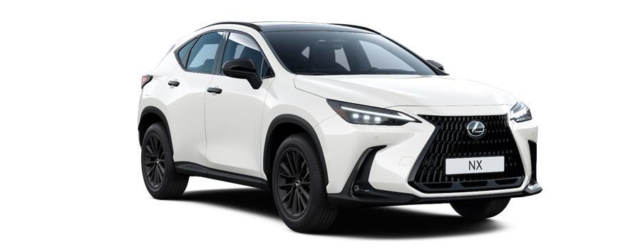 NX Overtrail PHEV თეთრი (085), frame 3