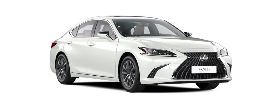 ES Comfort თეთრი (085), frame 3