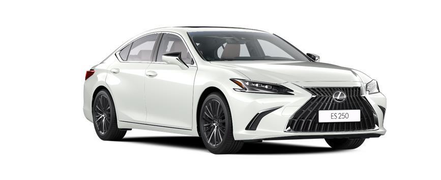 ES Executive 1 თეთრი (085), frame 3