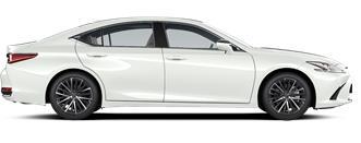ES Executive ES 250 4 კარიანი სედანი