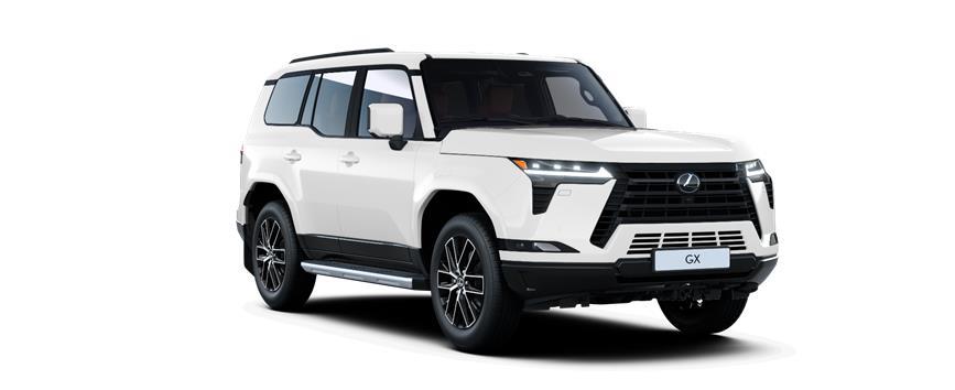 GX Executive Sonic White (085), frame 3