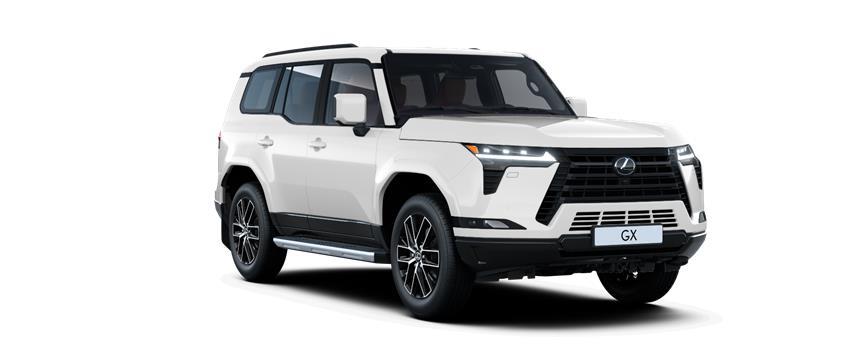 GX Executive Sonic White (085), frame 3