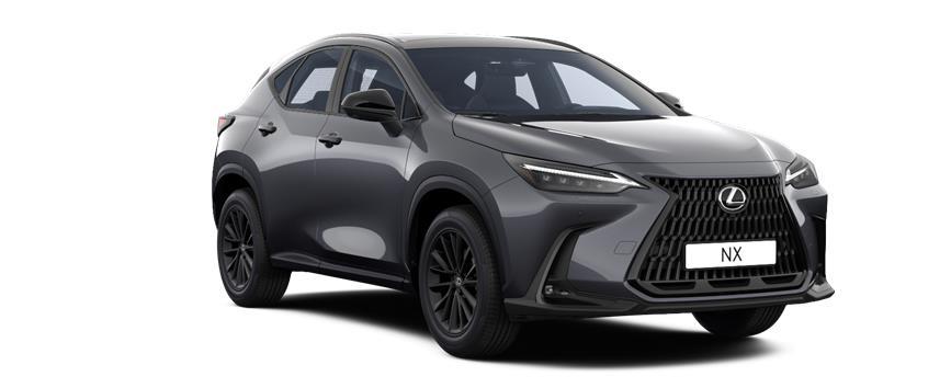 NX Overtrail HEV რუხი (1L1), frame 3