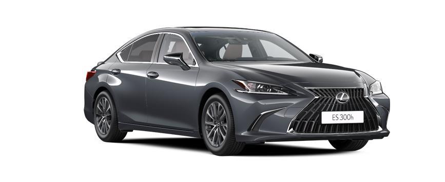 ES Dynamic Sonic Grey (1L1), frame 3