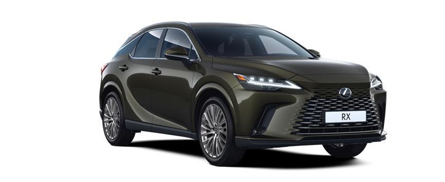 RX LUXURY KHAKI (6X4), frame 3