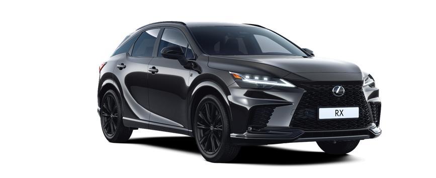 RX F SPORT PLUS GRAFIT FEKETE, frame 3