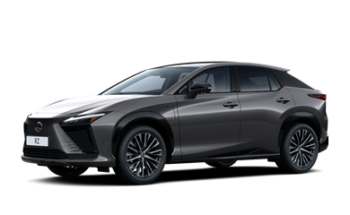 RZ electric Electric motor 300kW 2EL2