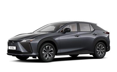 RZ electric Electric Motor 150kW 2EL-