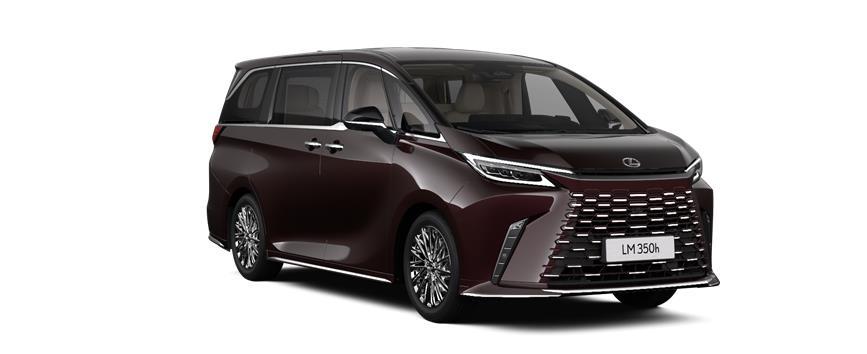 LM TAKUMI VIP Sonic Agate (3U3), frame 3