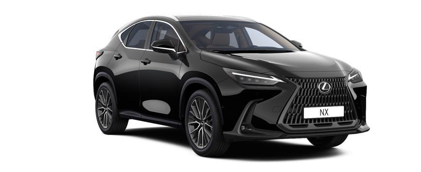 NX Luxury Svartur (212), frame 3