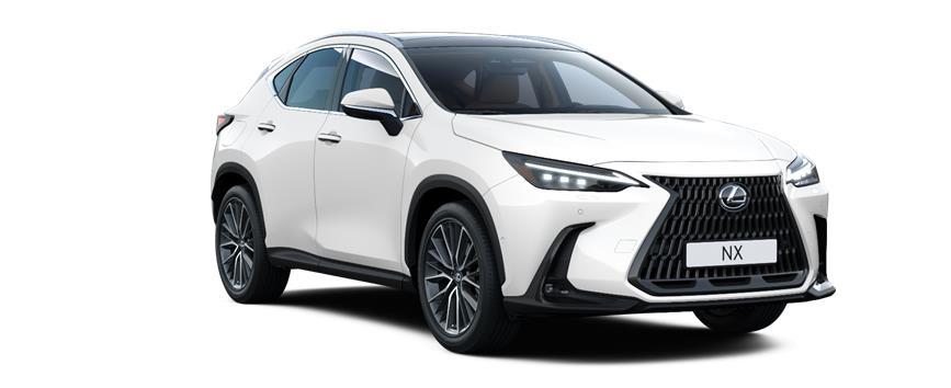 NX Luxury Plug-in F Hvítur (083), frame 3