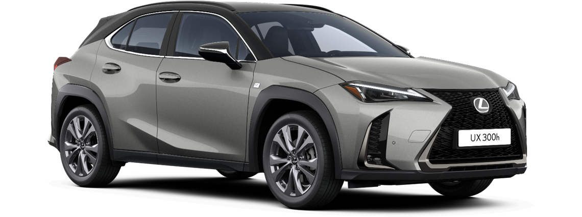 UX 300h 4WD Full Hybrid