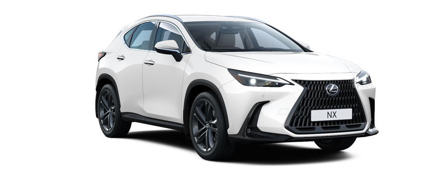 NX Premium Белый металлик F Sport (083), frame 3