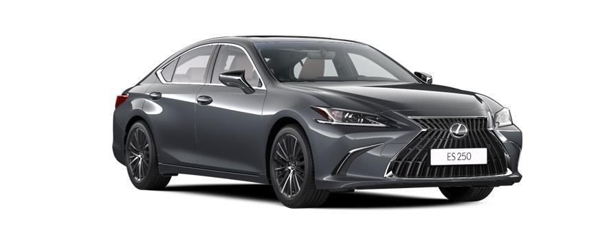 ES Progressive СЕРЫЙ МЕТАЛЛИК (1L1), frame 3