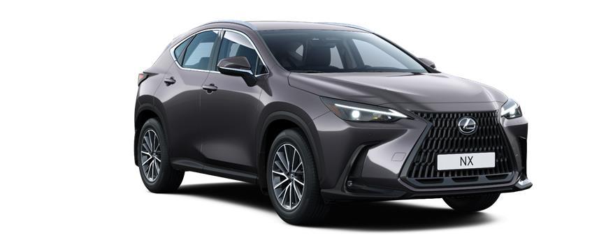 NX Executive Sonic Grey (1L1), frame 3