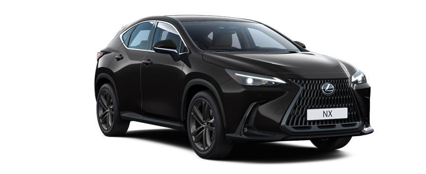 NX Premium Кара (212), frame 3