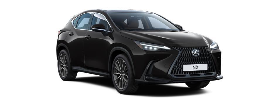 NX Luxury Черный (212), frame 3