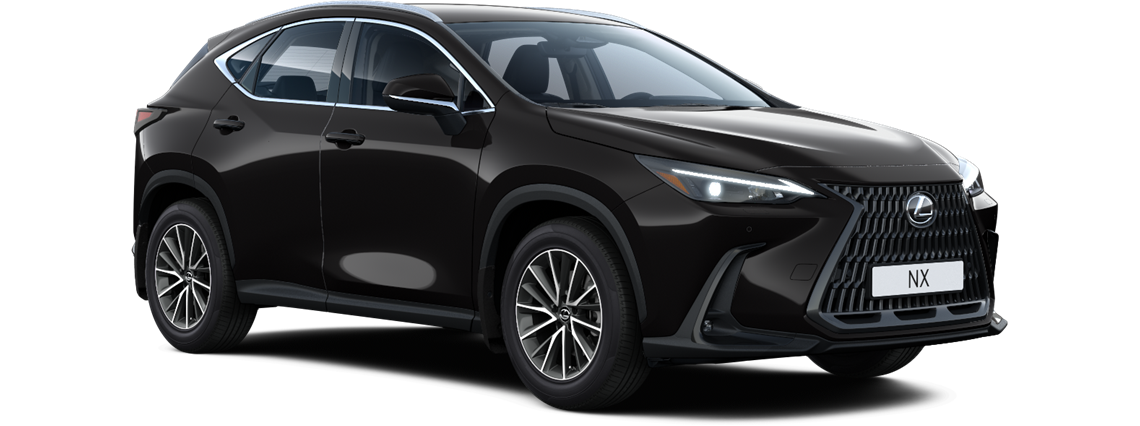 NX 250 AWD