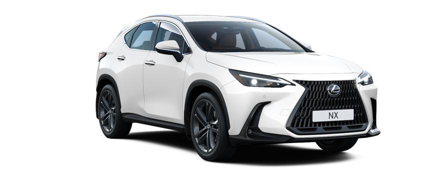 NX Premium F White (083), frame 3
