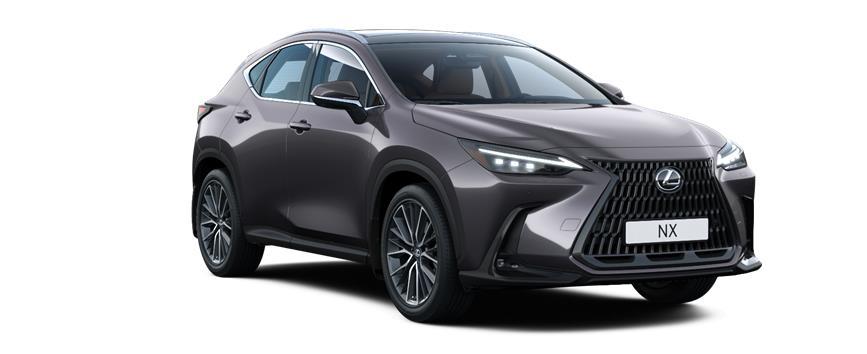 NX Luxury Sonic Grey (1L1), frame 3