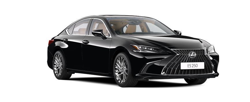 ES Luxury Black (212), frame 3