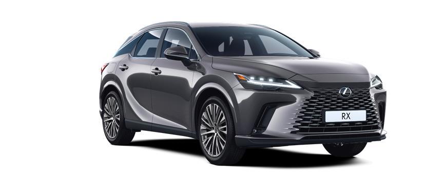 RX Executive Plus Sonic Grey (1L1), frame 3