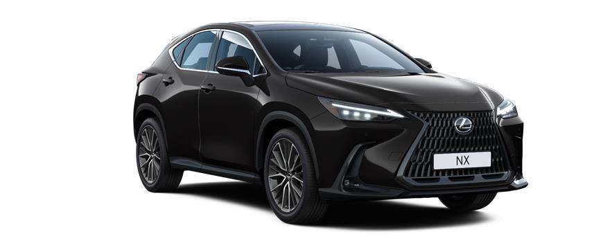 NX Luxury Черный (212), frame 3